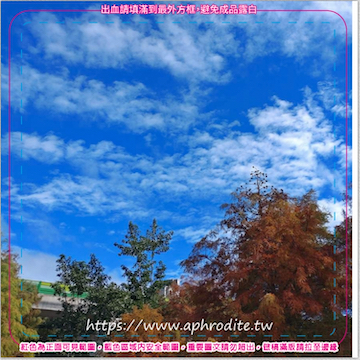 台北內湖落羽松環保吸水紙杯墊 50入(尺寸：8.5 x 8.5 cm 厚度：1.2mm 材質：環保無毒玉米紙漿大豆油墨印製，最天然環保無毒的印刷）